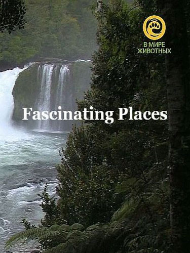 Захватывающие места Fascinating Places