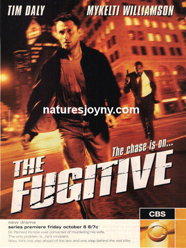 Беглец: Погоня продолжается The Fugitive