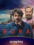 Бора