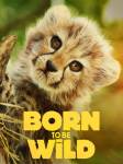 Рождённые быть дикими